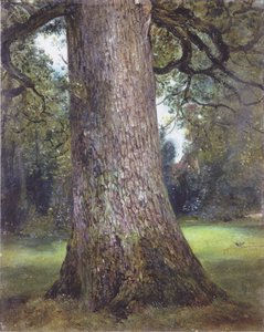 ニレの木の研究 作： John Constable